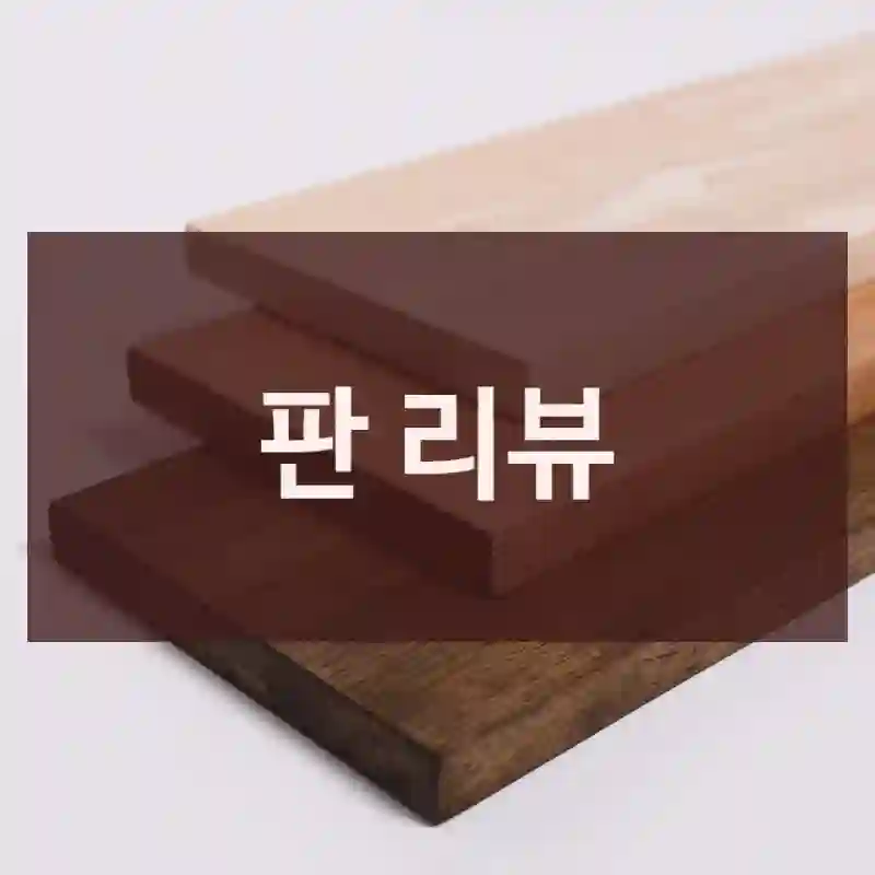 판 리뷰
