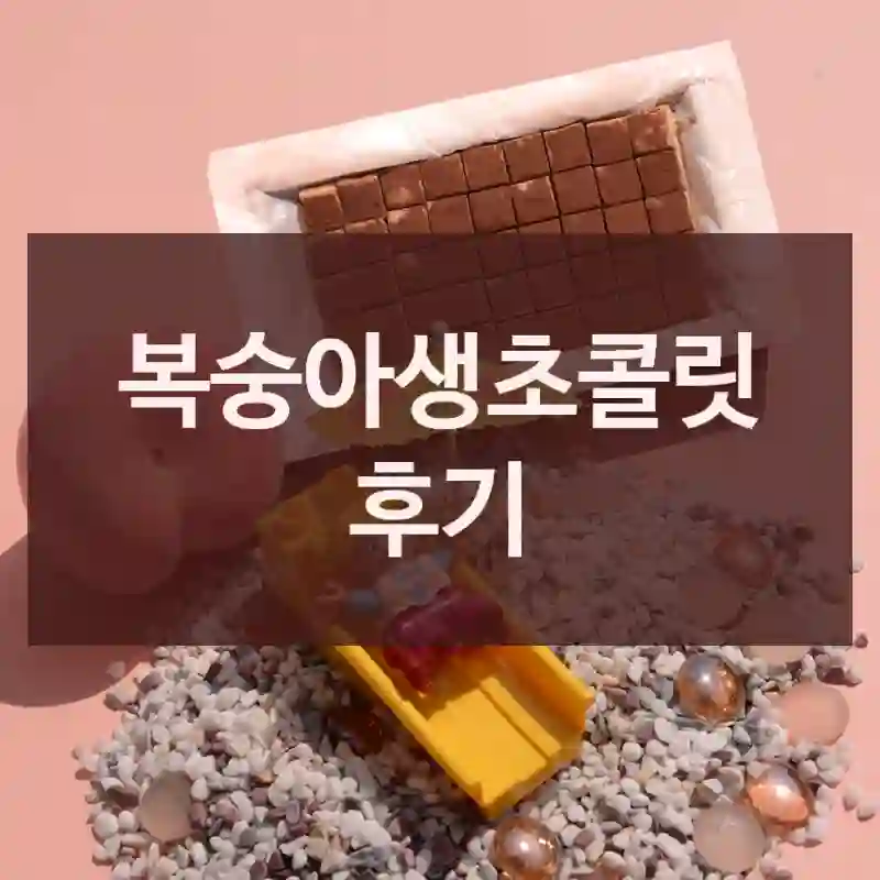 복숭아생초콜릿 후기