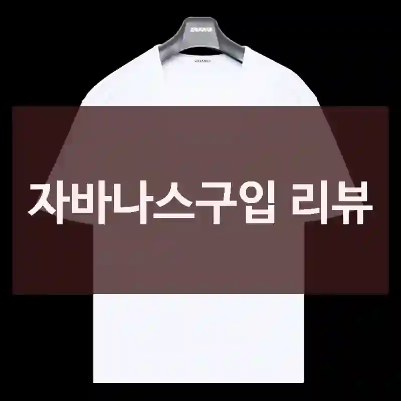자바나스구입 리뷰