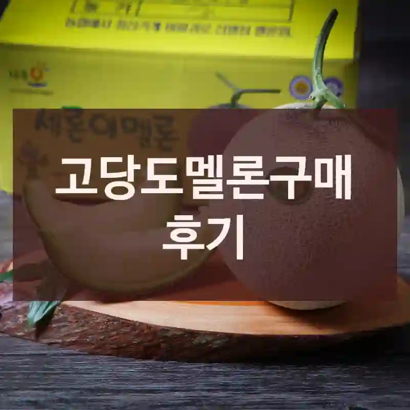 고당도멜론구매 후기