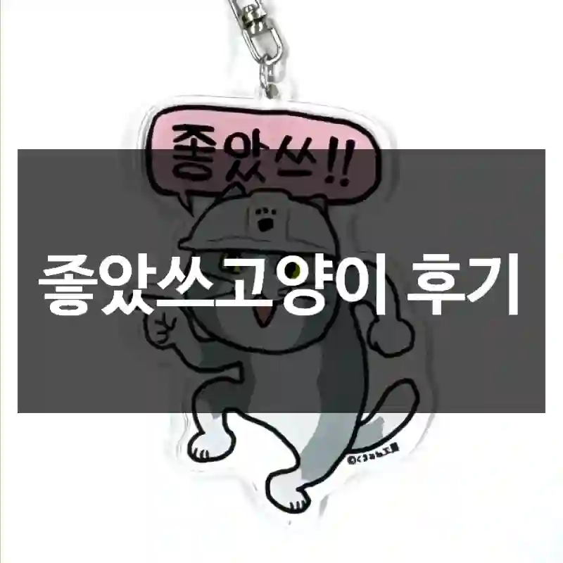 좋았쓰고양이 후기