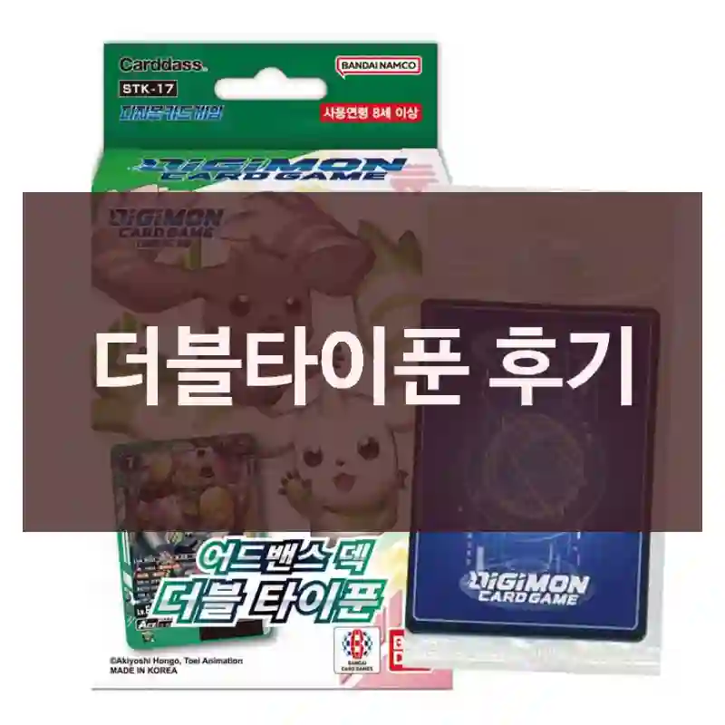 더블타이푼 후기