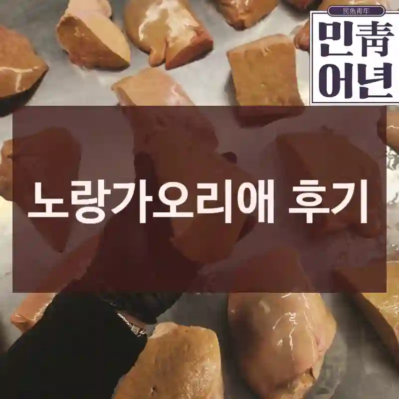 노랑가오리애 후기