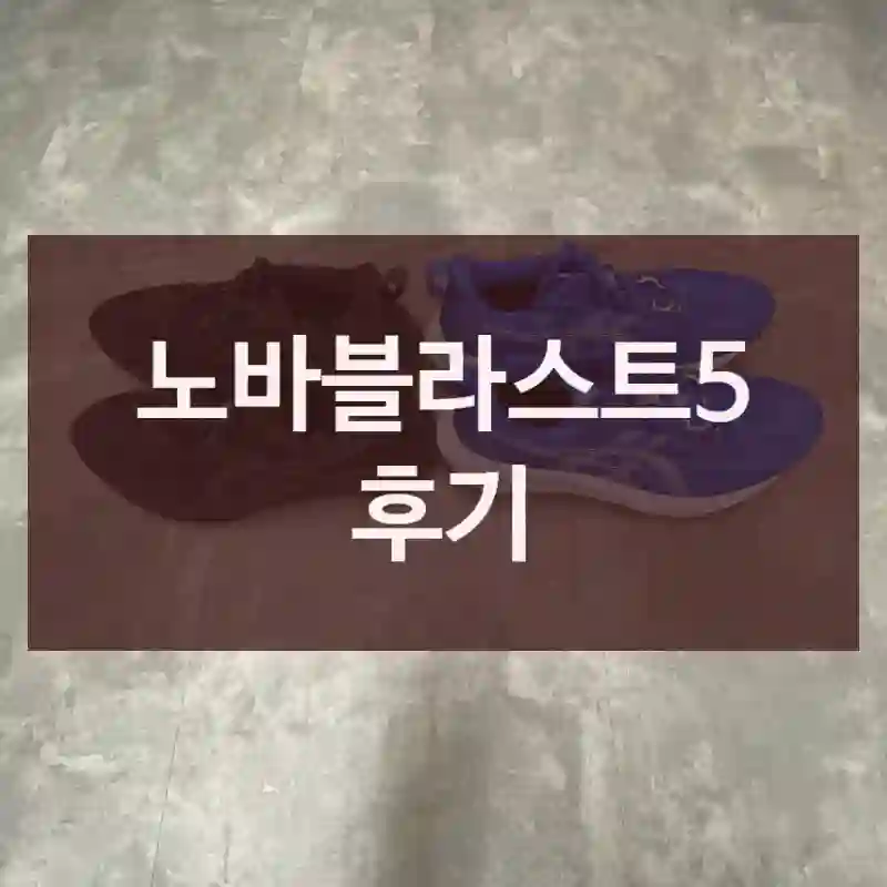 노바블라스트5 후기