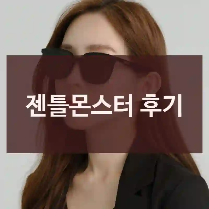 젠틀몬스터 후기