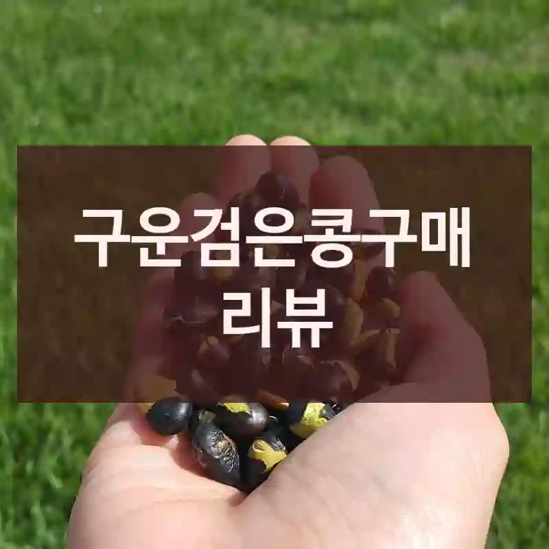 구운검은콩구매 리뷰