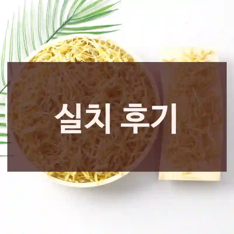 실치 후기