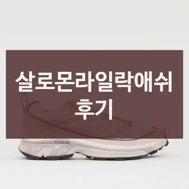 살로몬라일락애쉬 후기