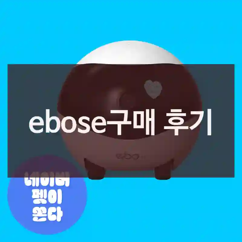 ebose구매 후기
