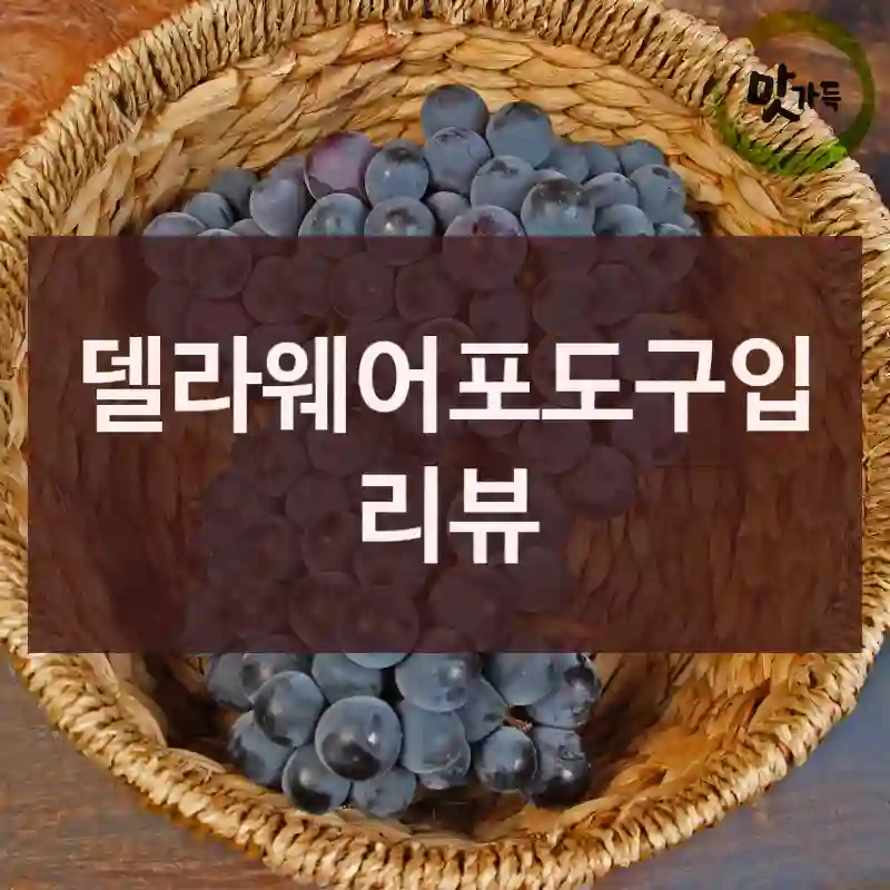 델라웨어포도구입 리뷰