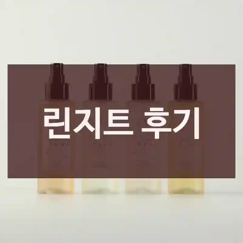 린지트 후기