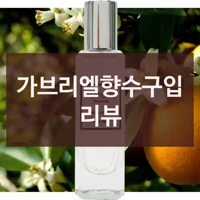 가브리엘향수구입 리뷰