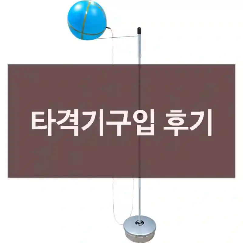 타격기구입 후기