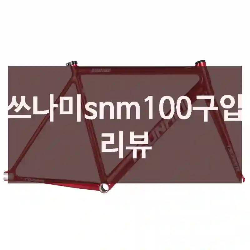 쓰나미snm100구입 리뷰