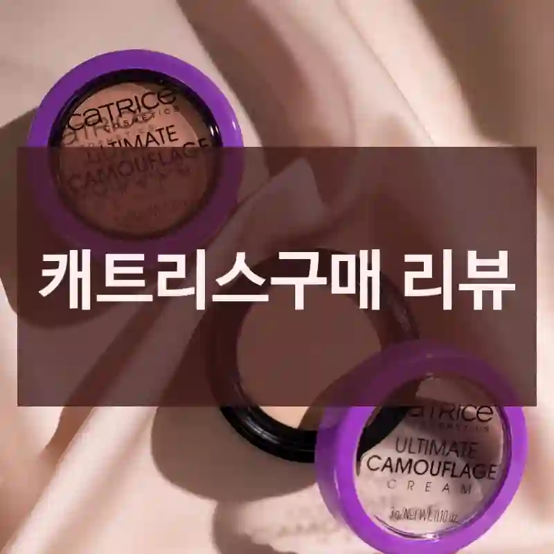 캐트리스구매 리뷰