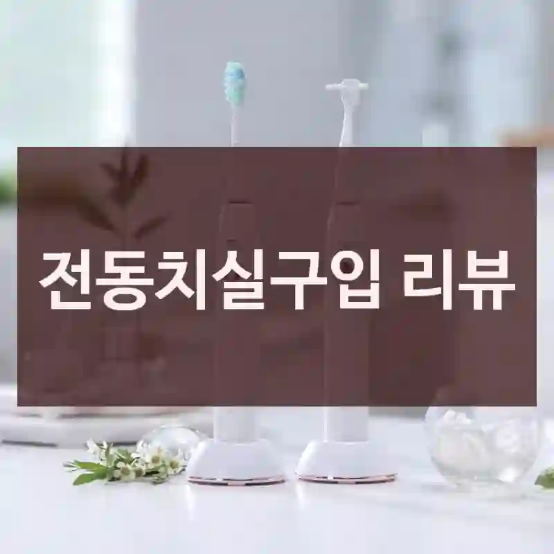 전동치실구입 리뷰