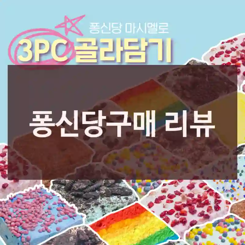 퐁신당구매 리뷰