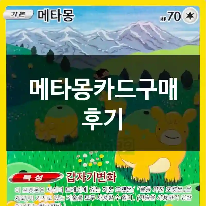 메타몽카드구매 후기