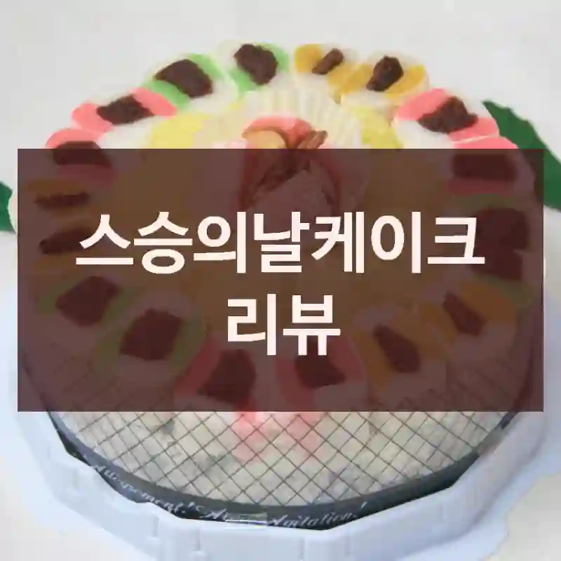 스승의날케이크 리뷰