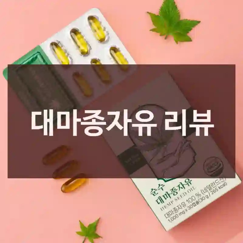 대마종자유 리뷰