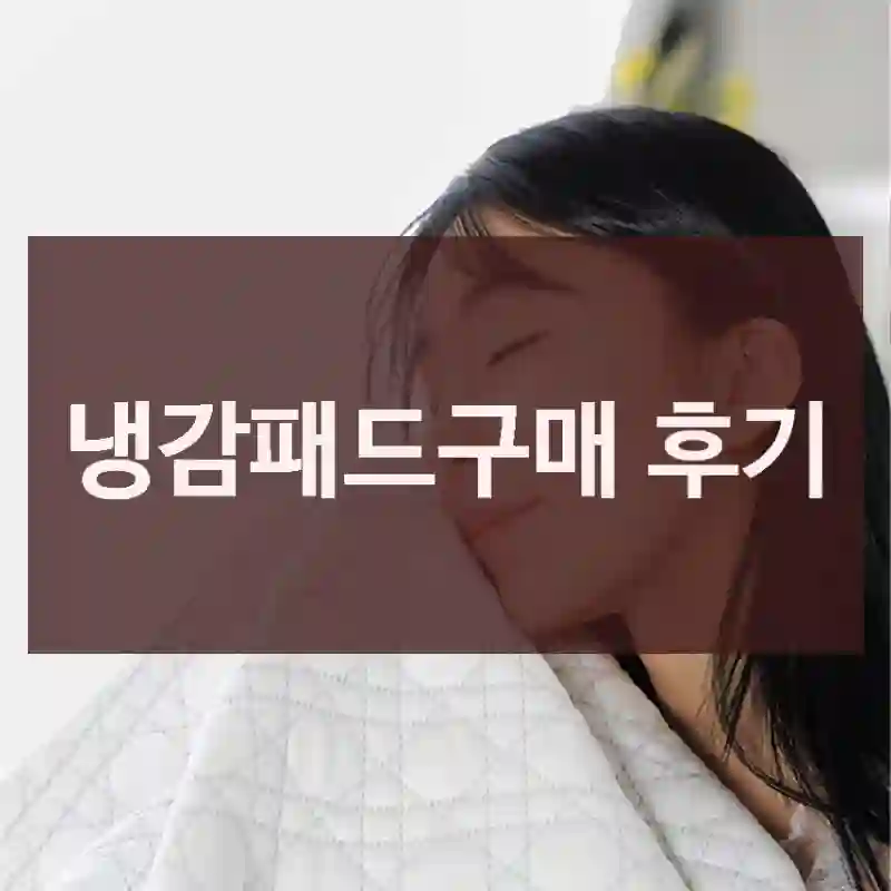 냉감패드구매 후기