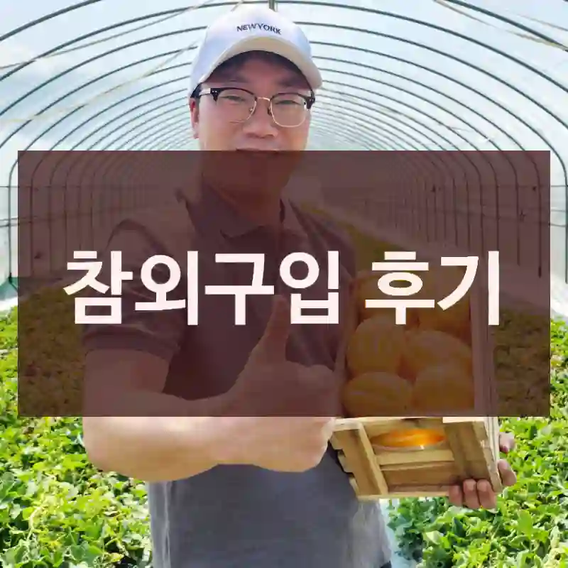 참외구입 후기