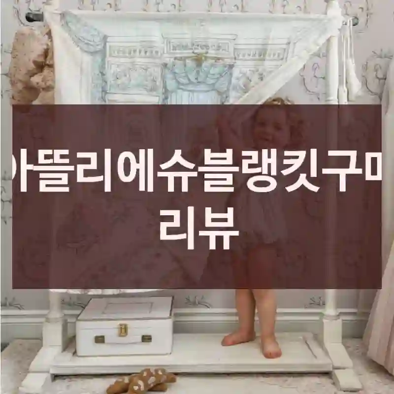 아뜰리에슈블랭킷구매 리뷰