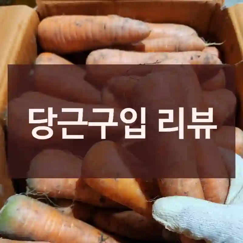 당근구입 리뷰