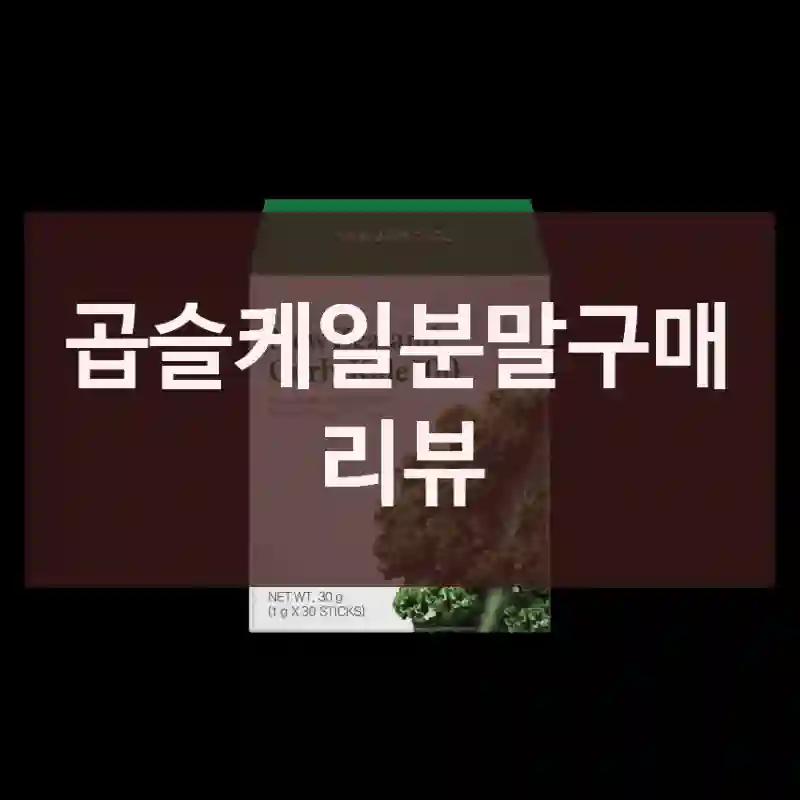 곱슬케일분말구매 리뷰