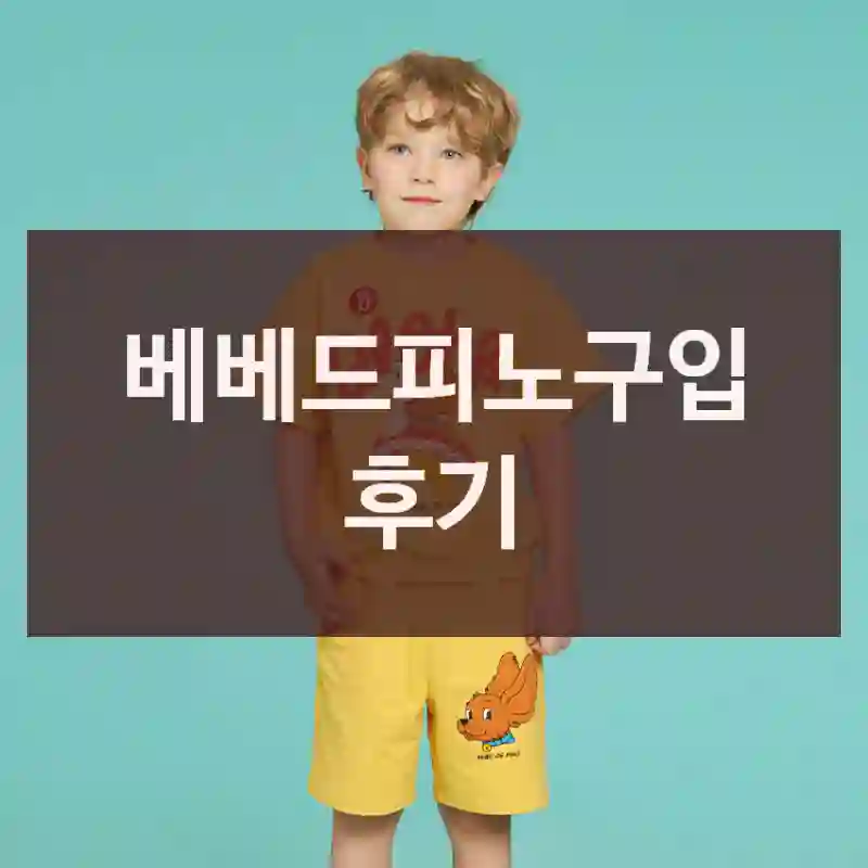 베베드피노구입 후기