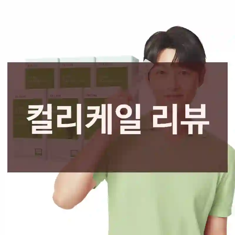 컬리케일 리뷰