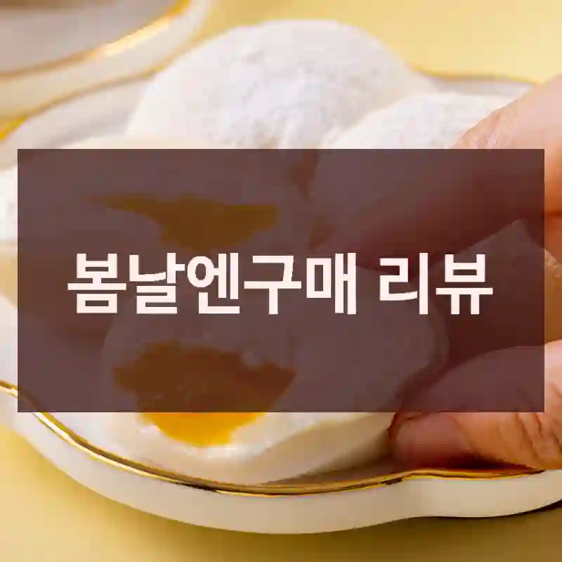 봄날엔구매 리뷰