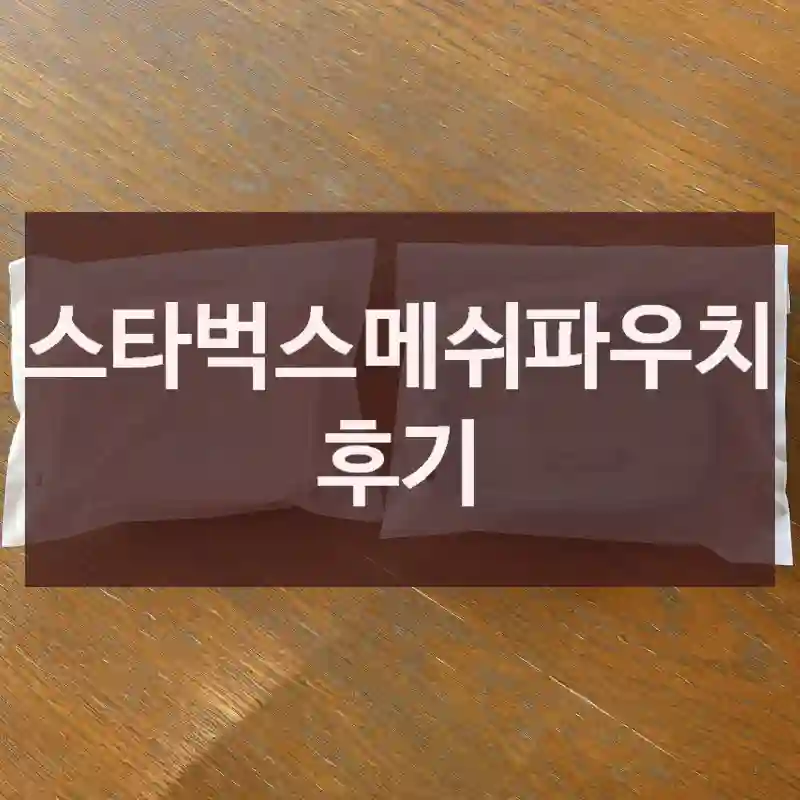 스타벅스메쉬파우치 후기