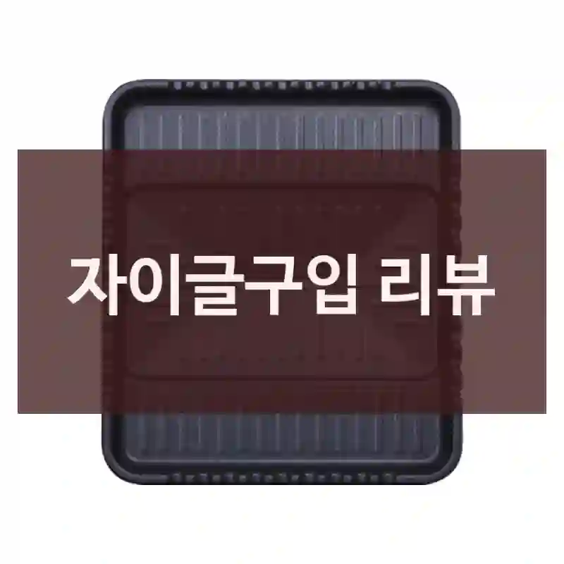 자이글구입 리뷰