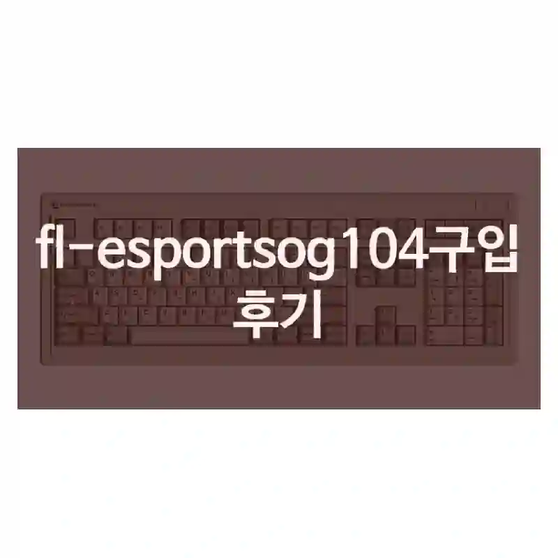 fl-esportsog104구입 후기