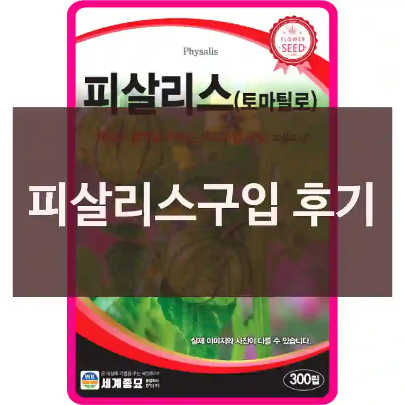 피살리스구입 후기