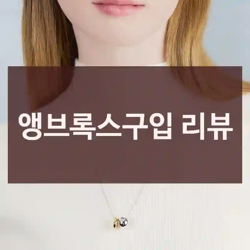 앵브록스구입 리뷰