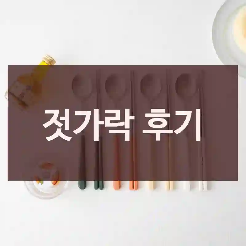 젓가락 후기