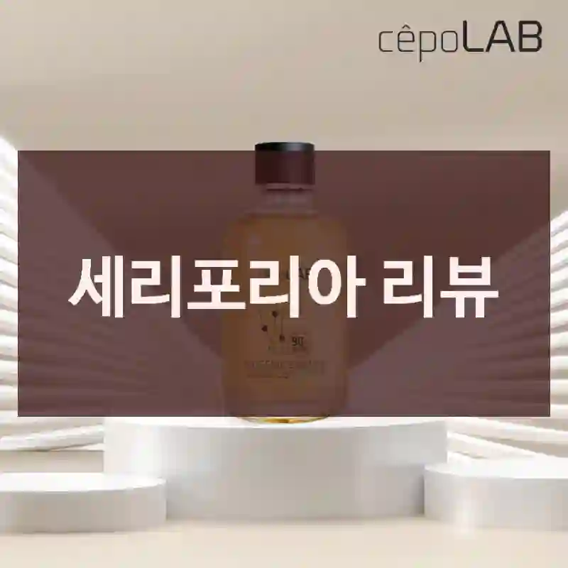 세리포리아 리뷰