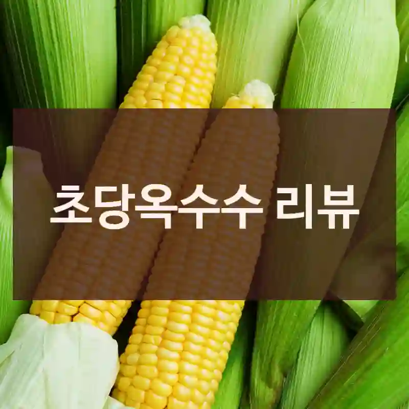 초당옥수수 리뷰