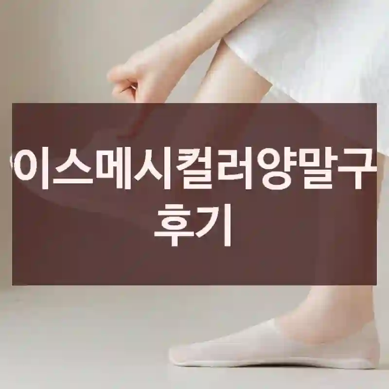 아이스메시컬러양말구매 후기