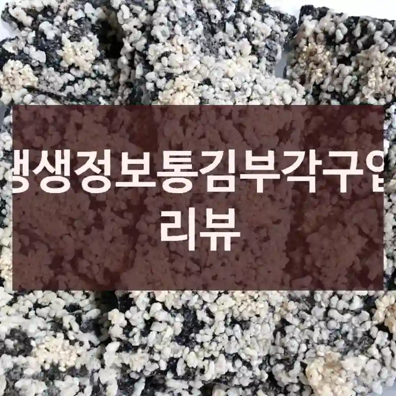 생생정보통김부각구입 리뷰