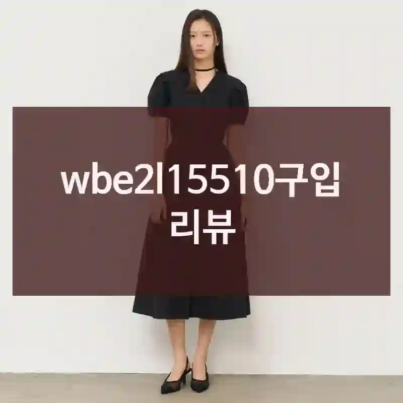 wbe2l15510구입 리뷰