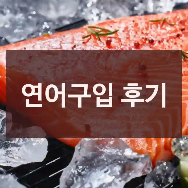 연어구입 후기