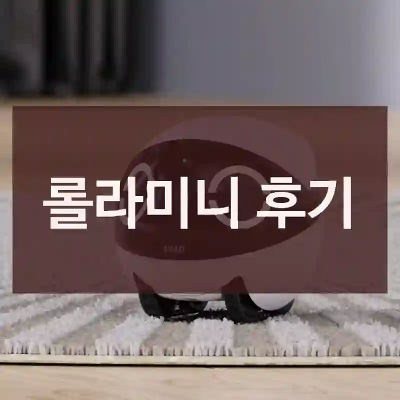롤라미니 후기