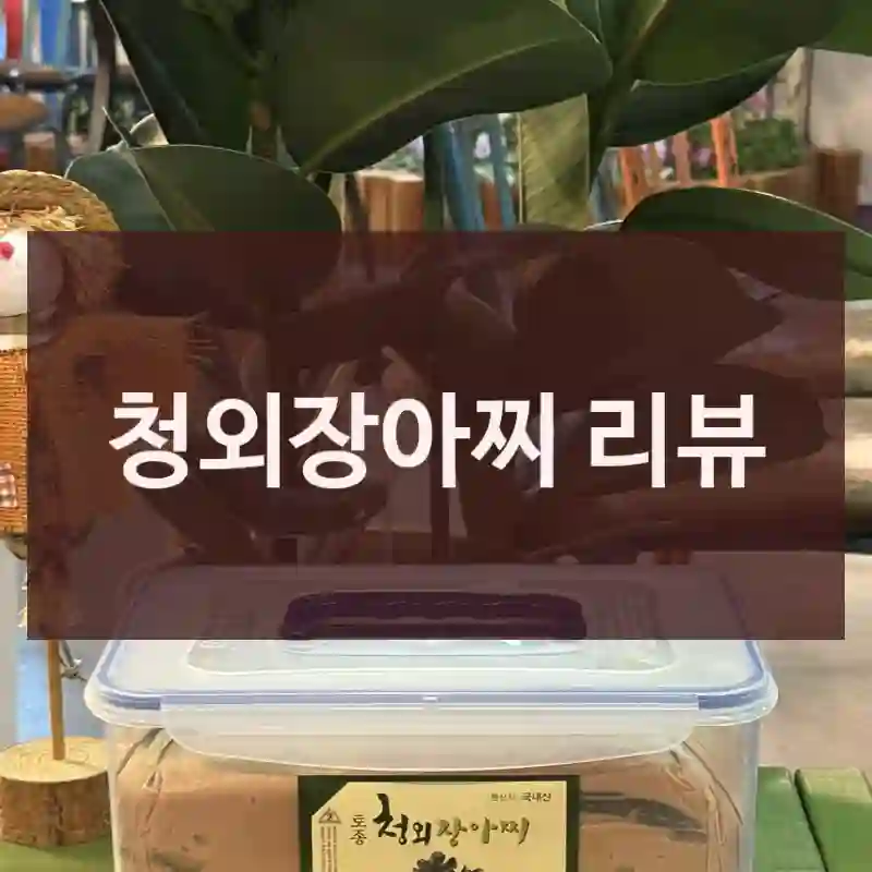 청외장아찌 리뷰