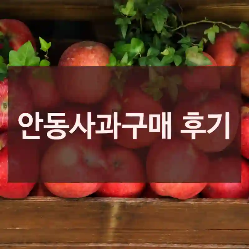 안동사과구매 후기