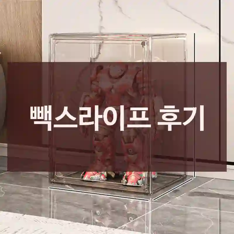 빽스라이프 후기