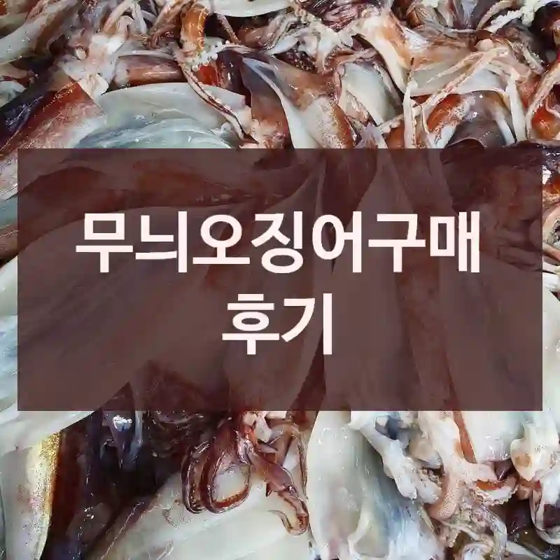 무늬오징어구매 후기
