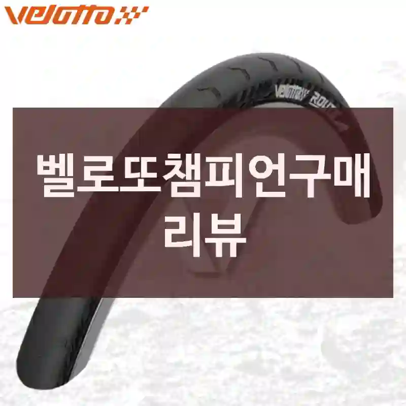 벨로또챔피언구매 리뷰